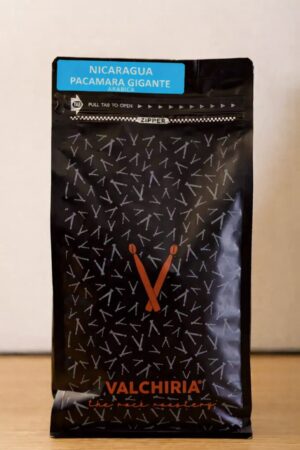 Nicaragua Pacamara Gigante arabica